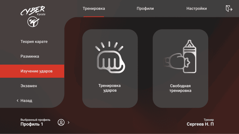 Скриншот CyberKarate картинка 2