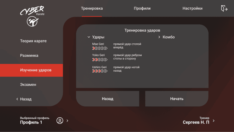 Скриншот CyberKarate картинка 3