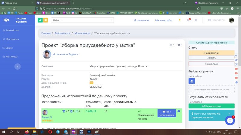 Скриншот Falcon Auction картинка 3