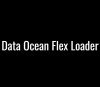 Data Ocean Flex Loader