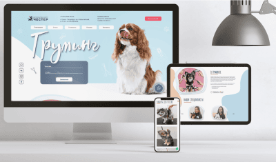 Разработка лендинга по направлению "Груминг" для ветеринарной клиники "Честер"