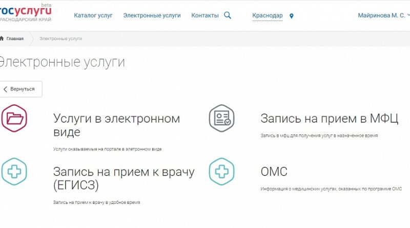 Скриншот Информационная система "Региональный портал государственных и муниципальных услуг" картинка 4