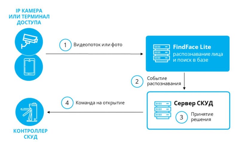 Скриншот FindFace Lite