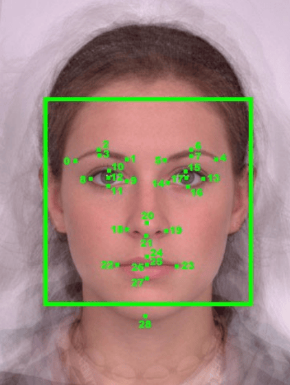 Скриншот Tevian FaceSDK 3