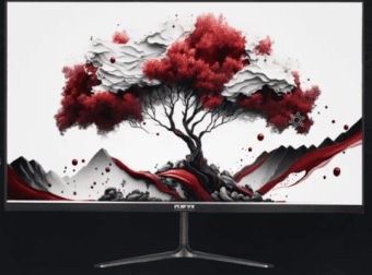 МОНИТОР RDW 2416I