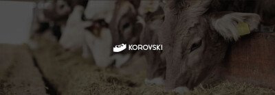 Разработка сайта на базе «1С-Битрикс24» для инновационного биотехнологического оборудования Korovski